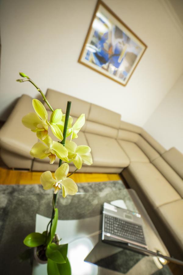 קלוז'-נאפוקה Business Class Apartment מראה חיצוני תמונה