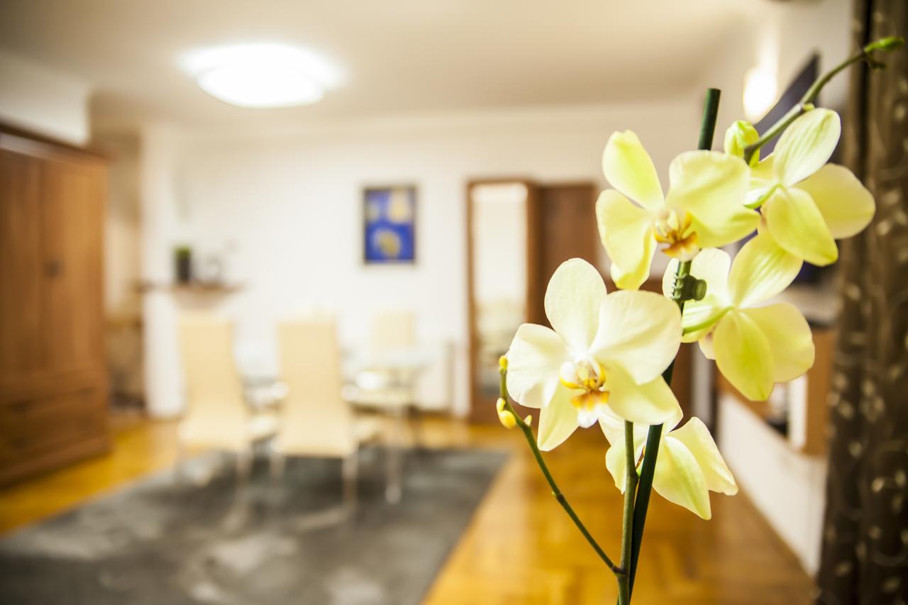 קלוז'-נאפוקה Business Class Apartment מראה חיצוני תמונה