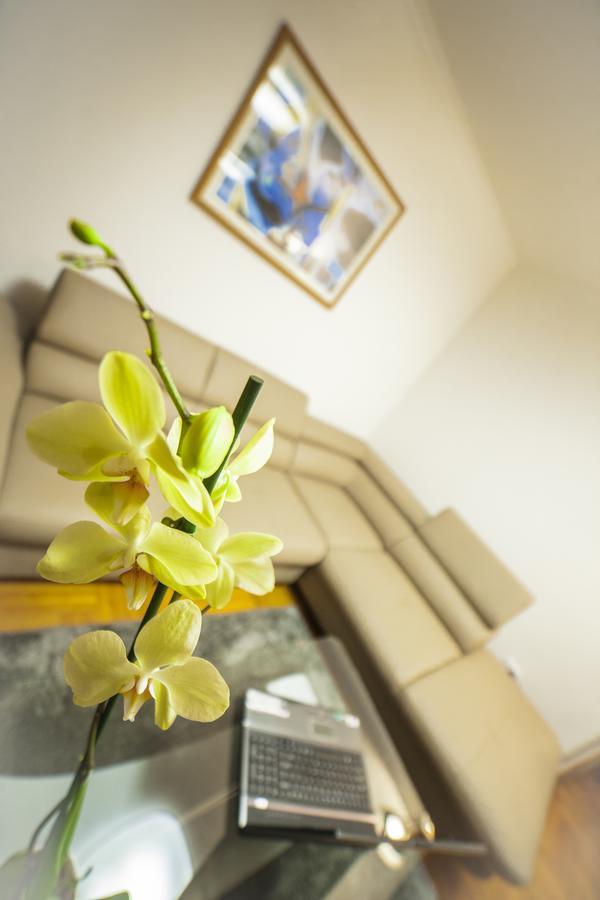 קלוז'-נאפוקה Business Class Apartment מראה חיצוני תמונה